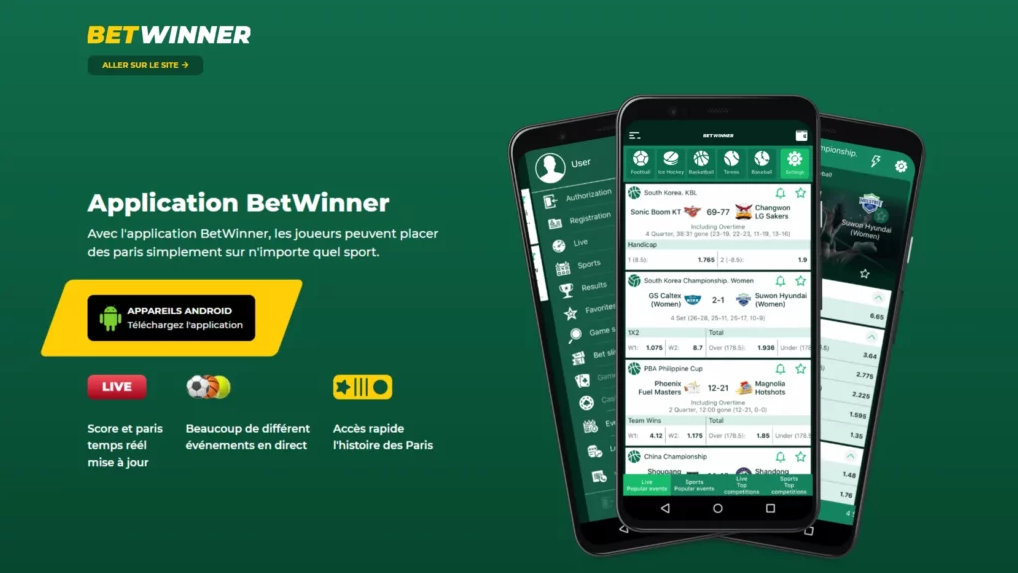 Aviator Betwinner  Plongée dans le monde du jeu en ligne